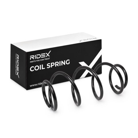 Ridex 188C0600 Coil Spring, photo 2