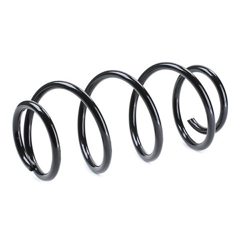 Ridex 188C0600 Coil Spring, photo 3