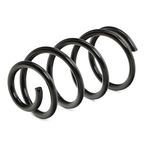 Ridex 188C0636 Coil Spring, photo 3