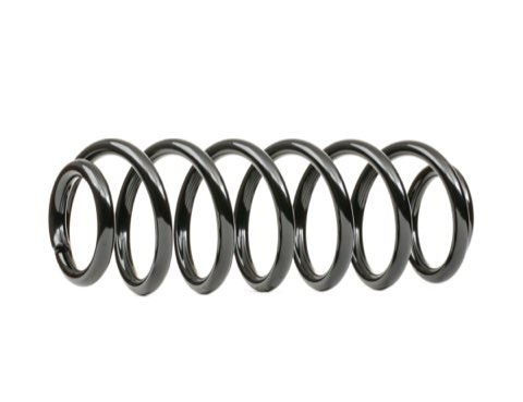 Ridex 188C0645 Coil Spring