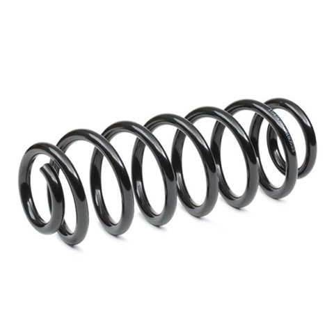 Ridex 188C0645 Coil Spring, photo 3