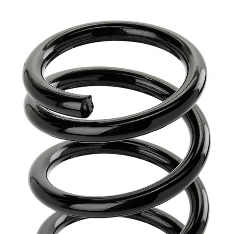 Ridex 188C0652 Coil Spring, photo 3