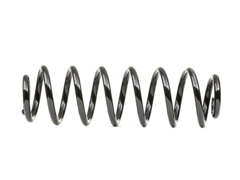 Ridex 188C0654 Coil Spring