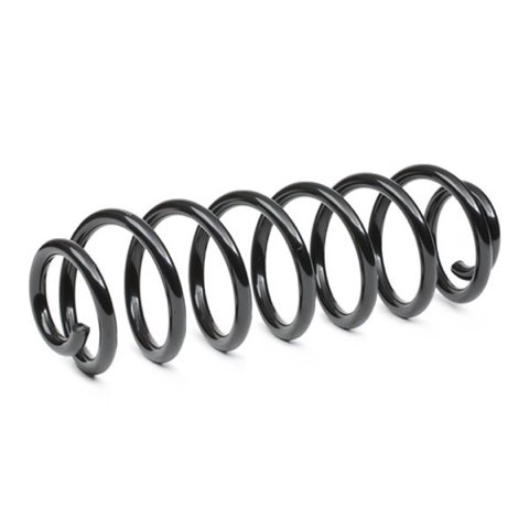 Ridex 188C0654 Coil Spring, photo 3