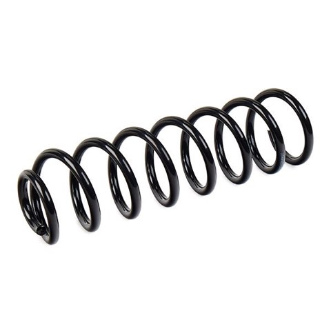 Ridex 188C0655 Coil Spring, photo 3