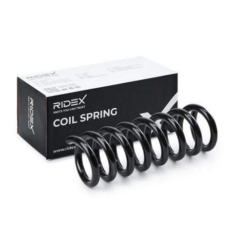 Ridex 188C0656 Coil Spring, photo 2
