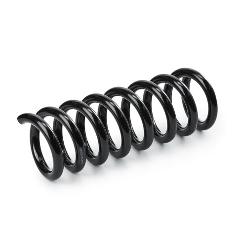 Ridex 188C0656 Coil Spring, photo 3