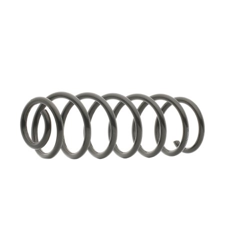 Ridex 188C0660 Coil Spring