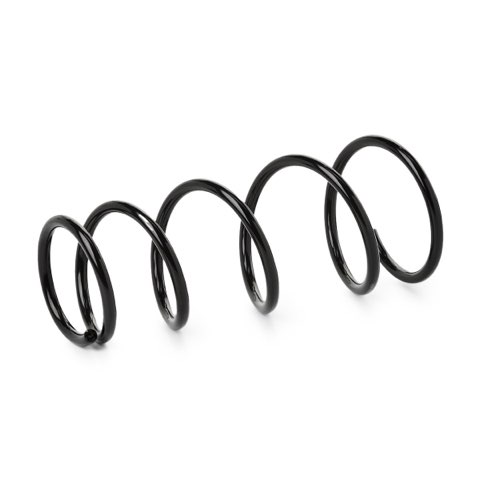 Ridex 188C0715 Coil Spring, photo 2
