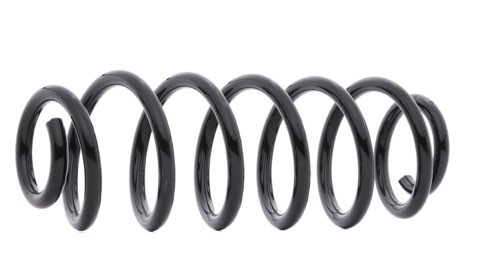 Ridex 188C0719 Coil Spring