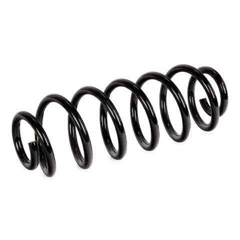 Ridex 188C0719 Coil Spring, photo 3