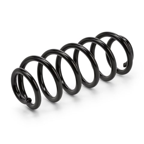 Ridex 188C0726 Coil Spring, photo 2