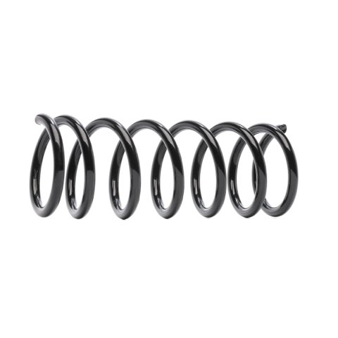 Ridex 188C0733 Coil Spring