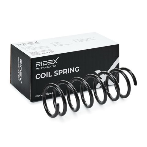Ridex 188C0733 Coil Spring, photo 2