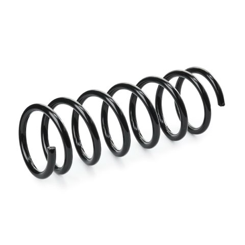 Ridex 188C0733 Coil Spring, photo 3