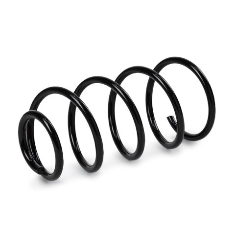 Ridex 188C0752 Coil Spring, photo 2