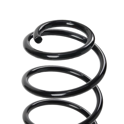 Ridex 188C0752 Coil Spring, photo 3