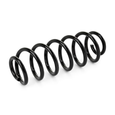 Ridex 188C0753 Coil Spring, photo 2