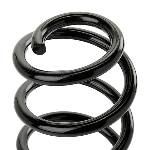 Ridex 188C0753 Coil Spring, photo 3