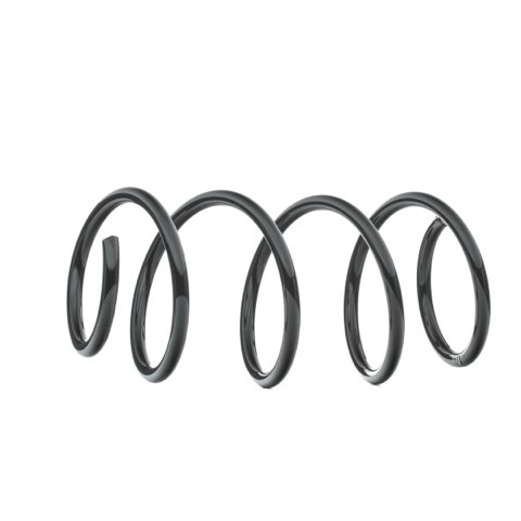Ridex 188C0765 Coil Spring