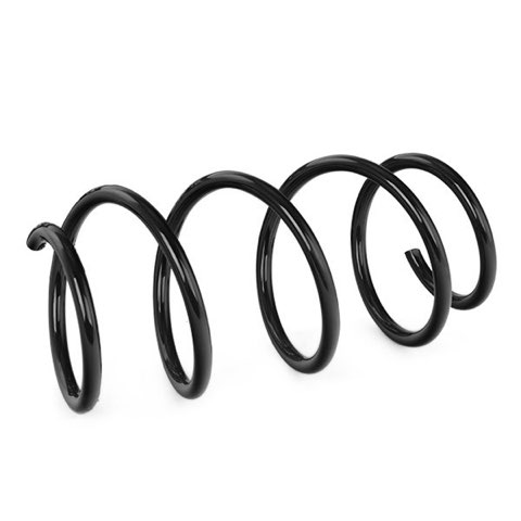 Ridex 188C0765 Coil Spring, photo 3