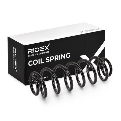 Ridex 188C0766 Coil Spring, photo 2