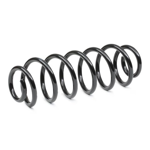 Ridex 188C0766 Coil Spring, photo 3
