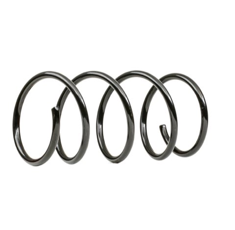 Ridex 188C0775 Coil Spring