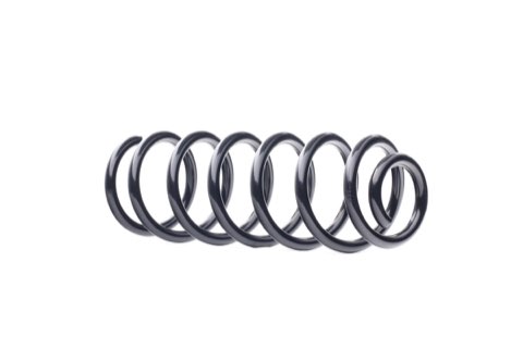 Ridex 188C0777 Coil Spring