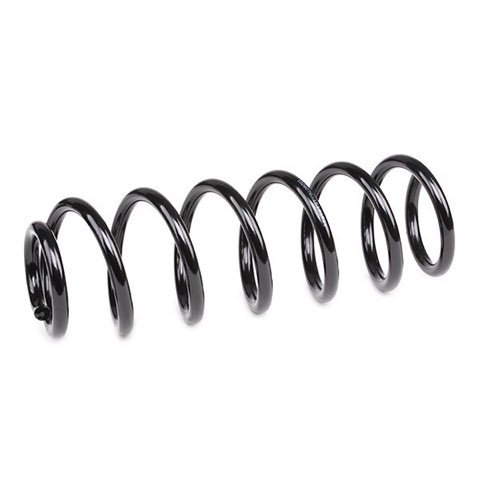Ridex 188C0777 Coil Spring, photo 3