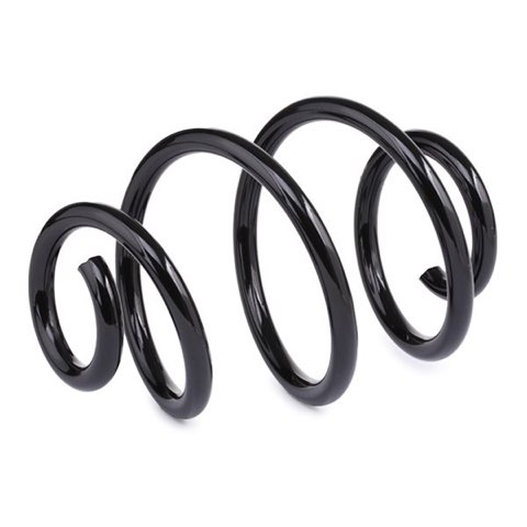 Ridex 188C0782 Coil Spring, photo 3