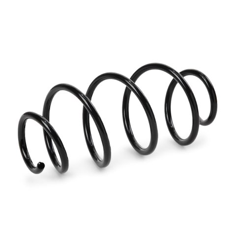 Ridex 188C0794 Coil Spring, photo 3