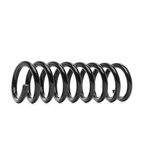 Ridex 188C0801 Coil Spring
