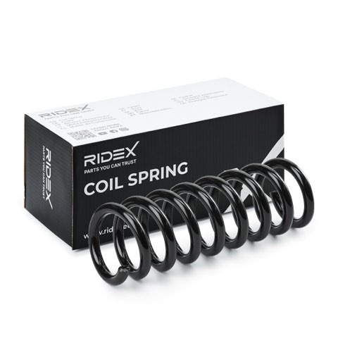 Ridex 188C0801 Coil Spring, photo 2
