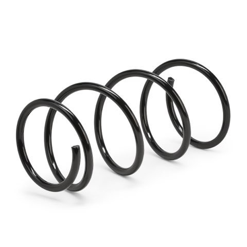 Ridex 188C0809 Coil Spring, photo 2