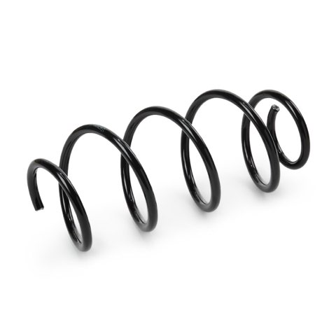 Ridex 188C0812 Coil Spring, photo 2