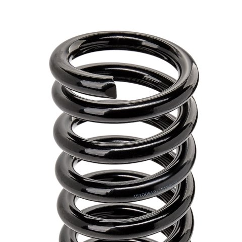 Ridex 188C0814 Coil Spring, photo 3