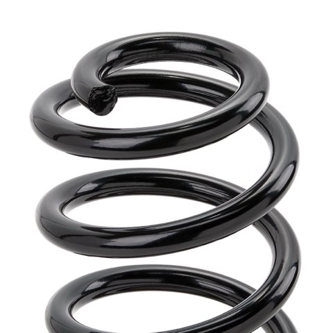 Ridex 188C0815 Coil Spring, photo 3