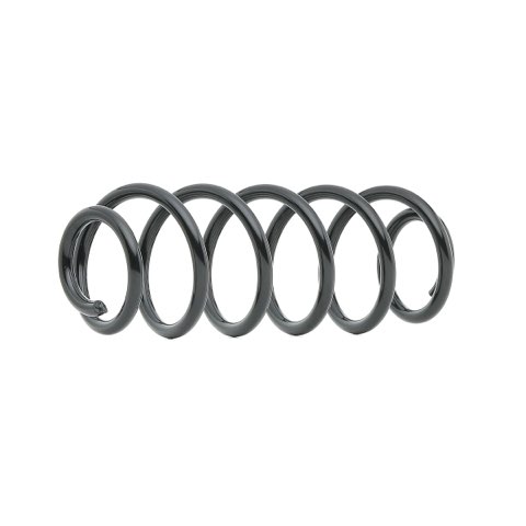 Ridex 188C0817 Coil Spring
