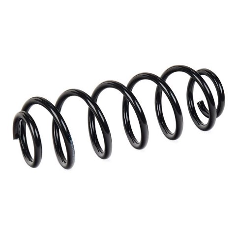Ridex 188C0817 Coil Spring, photo 3