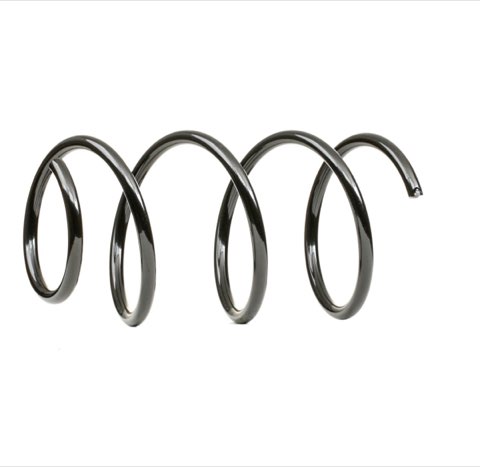 Ridex 188C0824 Coil Spring
