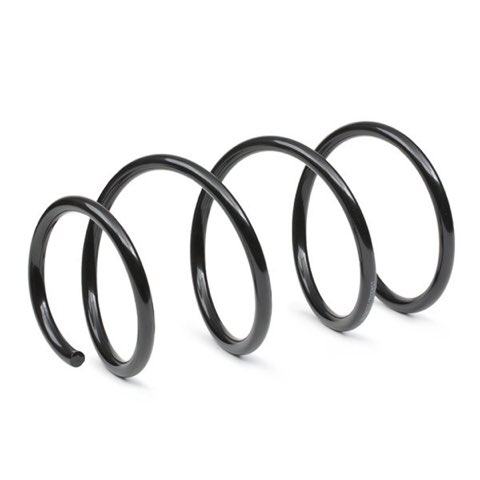 Ridex 188C0824 Coil Spring, photo 3