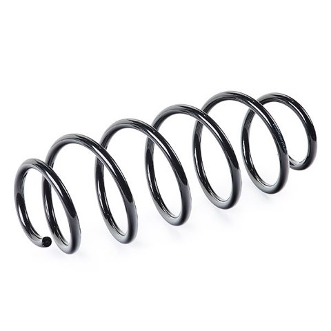 Ridex 188C0825 Coil Spring, photo 3