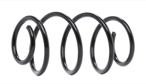 Ridex 188C0833 Coil Spring