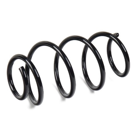 Ridex 188C0835 Coil Spring, photo 3