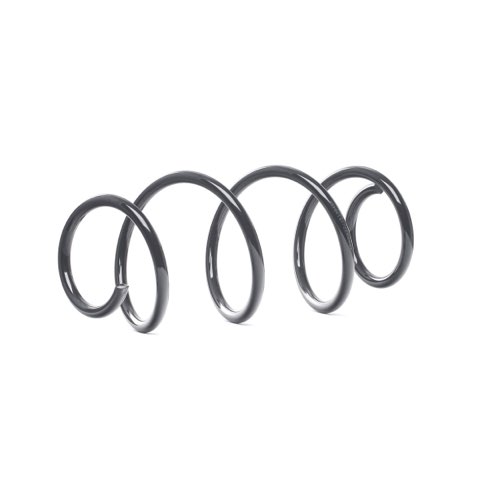 Ridex 188C0842 Coil Spring