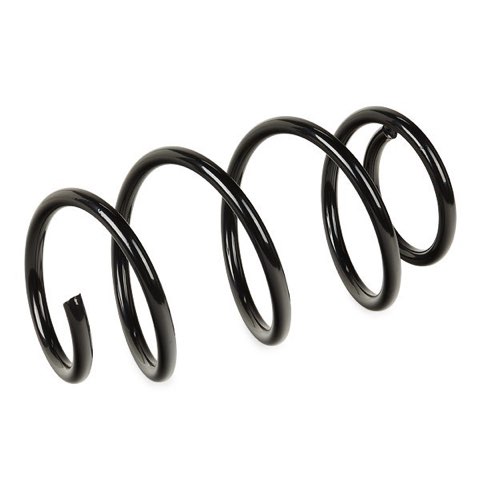 Ridex 188C0853 Coil Spring, photo 3