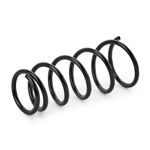Ridex 188C0855 Coil Spring, photo 2