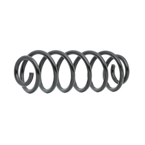 Ridex 188C0856 Coil Spring
