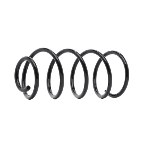 Ridex 188C0857 Coil Spring